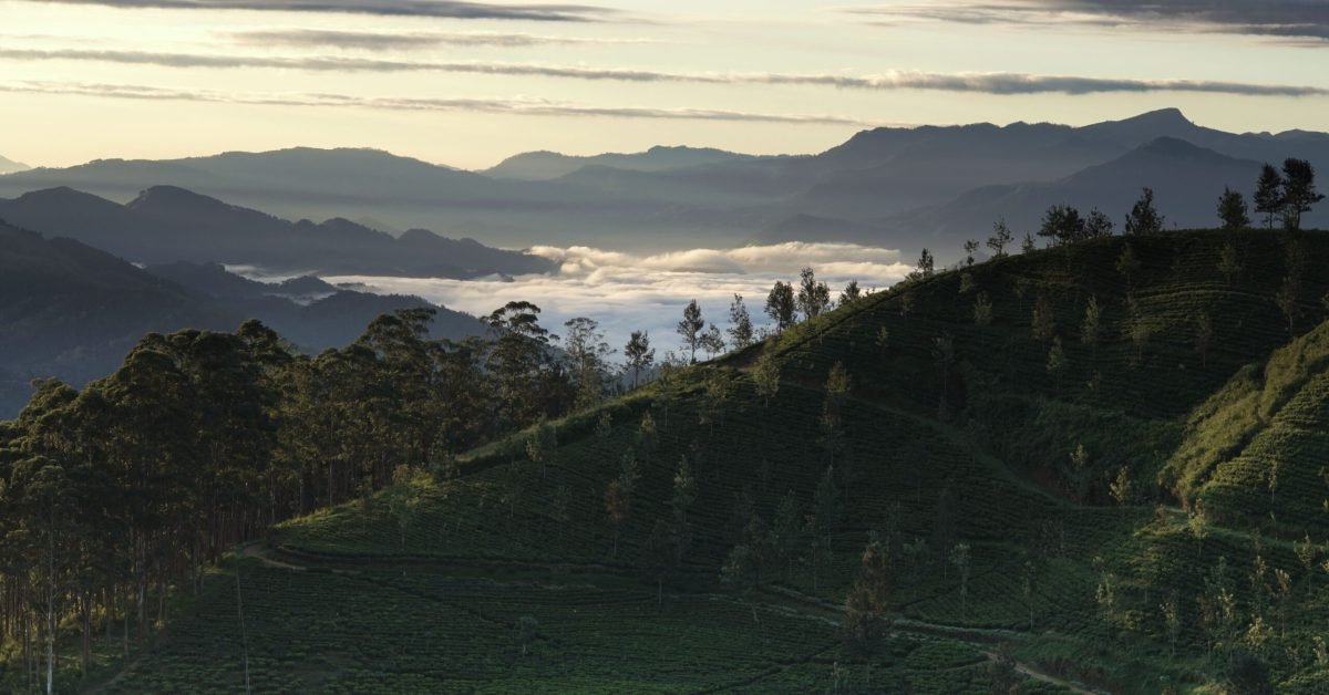 Nuwara Eliya