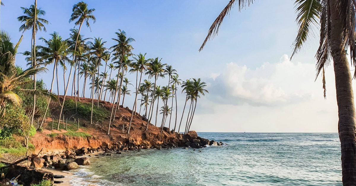 coconut tree hill mirissa
